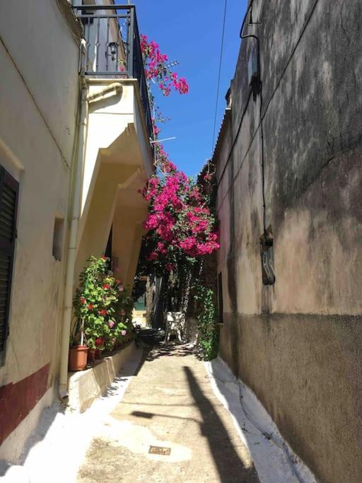 Traditional Detached Corfu House, 50m To Village Square Holiday home